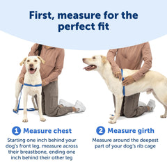PetSafe Easy Walk Harness shoulder straps with quick-snap closures.