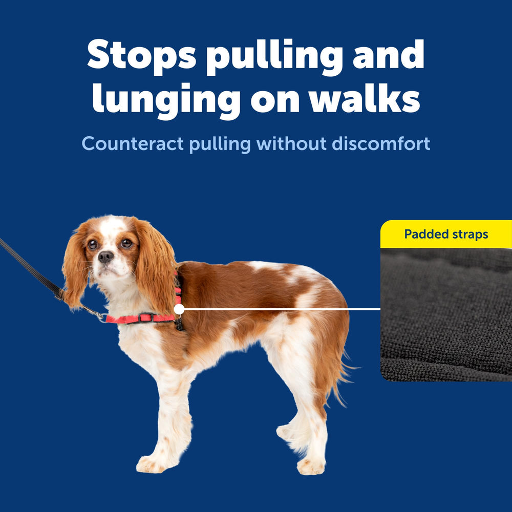PetSafe Easy Walk harness reflective strips shown close up.