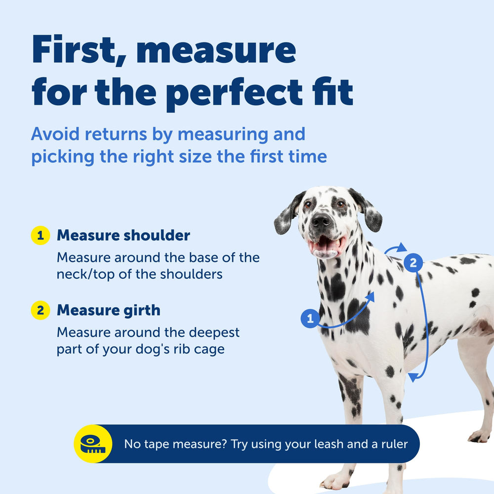 PetSafe Easy Walk 3-in-1 dog harness reflective nylon detail.