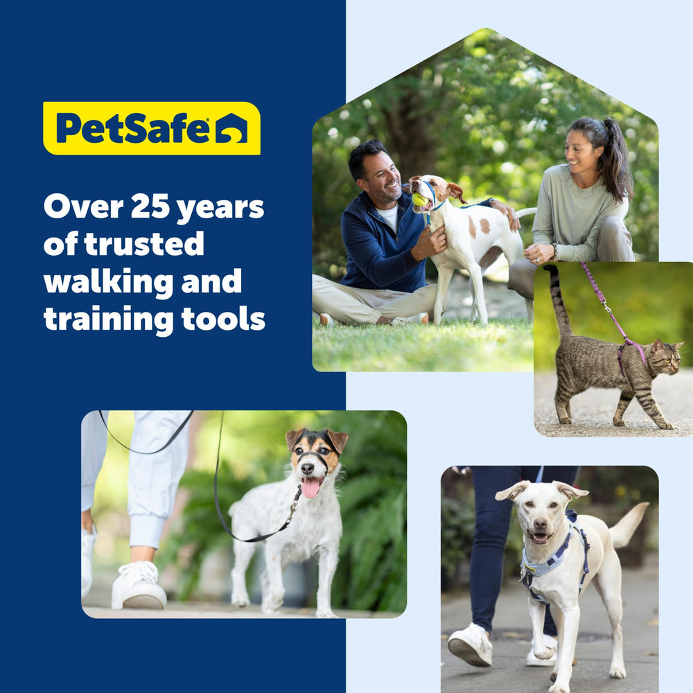PetSafe Easy Walk Harness shown from a raspberry side angle.