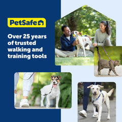 PetSafe Easy Walk Harness shown from a raspberry side angle.