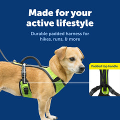 PetSafe EasySport Harness detail showing the adjustable elastic neckline.