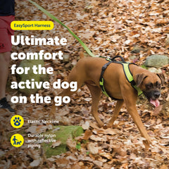 PetSafe EasySport Harness close-up showing its padded fabric.