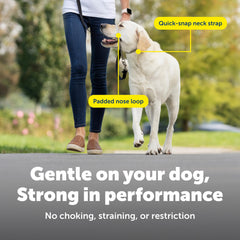 PetSafe Gentle Leader headcollar with its adjustable nose loop visible.