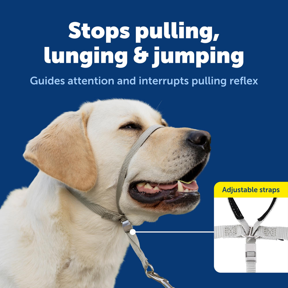 PetSafe Gentle Leader headcollar showing the quick-snap neck strap.