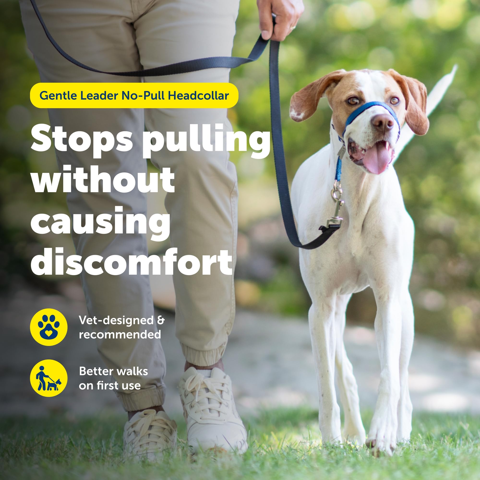 PetSafe Gentle Leader headcollar close-up of its padded nose loop.