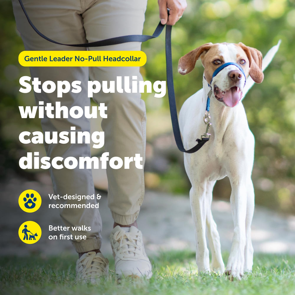 PetSafe Gentle Leader headcollar close-up of its padded nose loop.