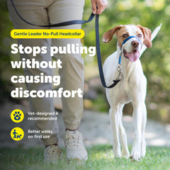 PetSafe Gentle Leader headcollar close-up of its padded nose loop.