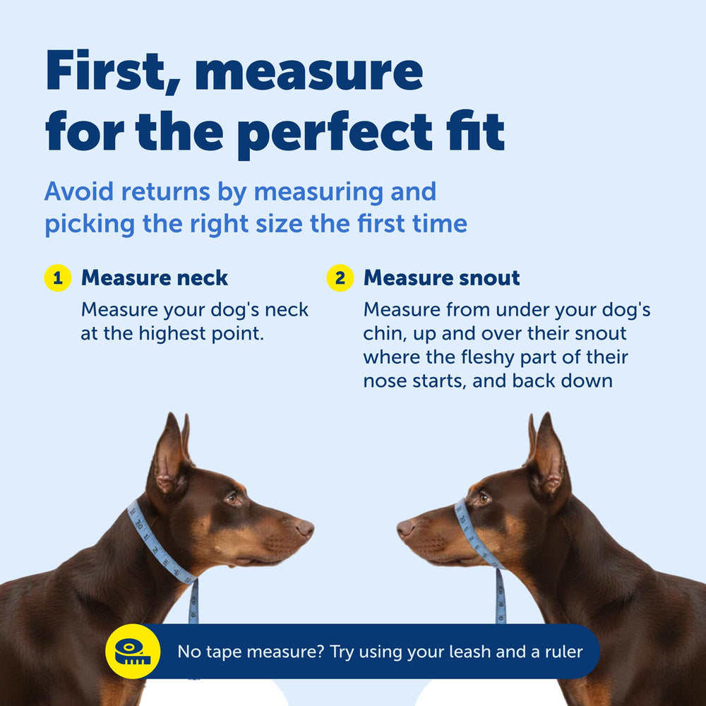 PetSafe Gentle Leader headcollar in use on a dog walk.
