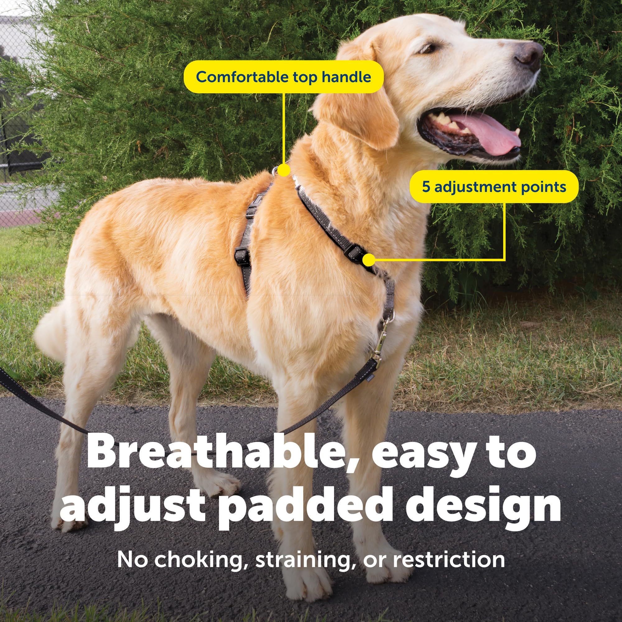 PetSafe 3 in 1 dog harness seat belt loop for vehicle restraint.