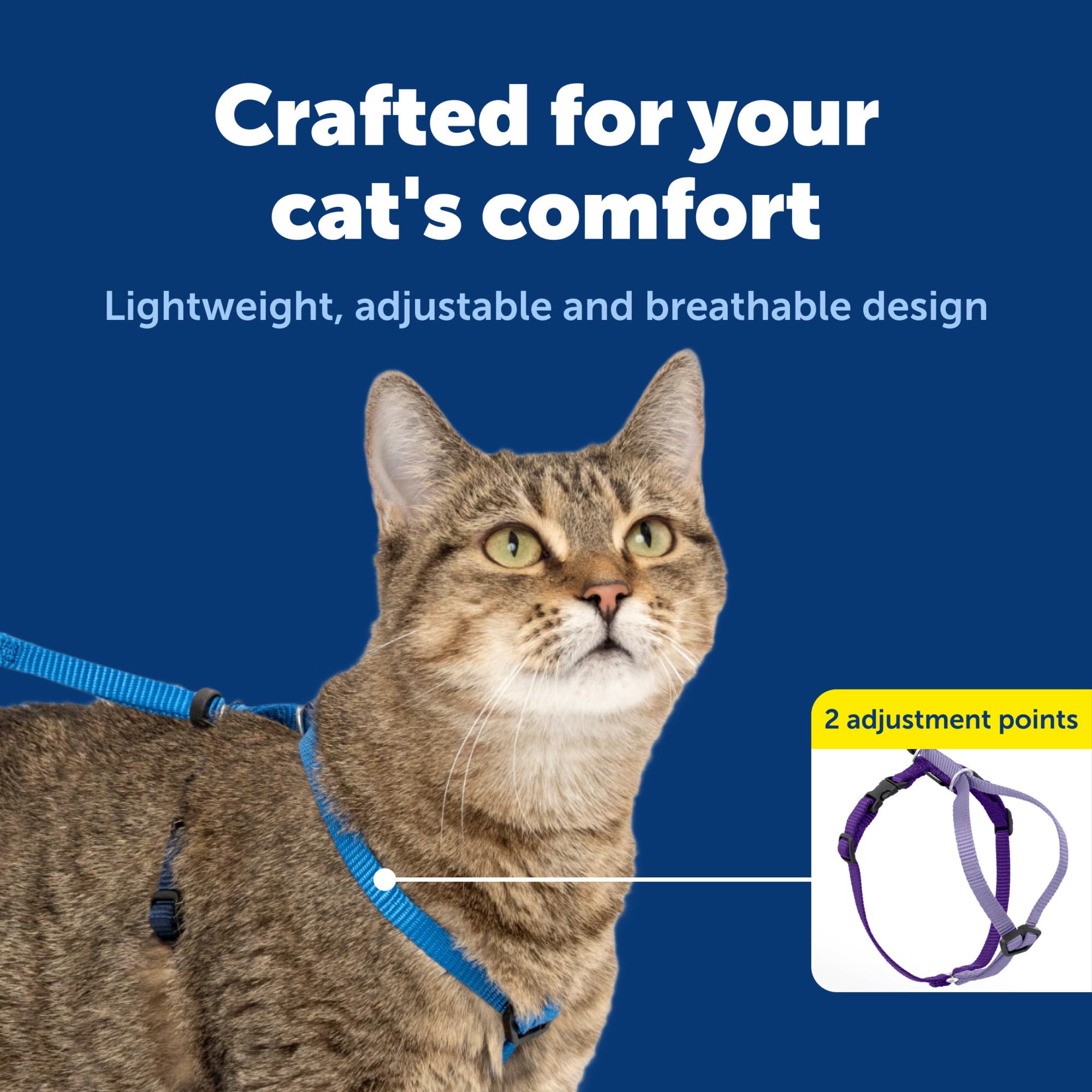 PetSafe Come With Me Kitty bungee leash shown close up.