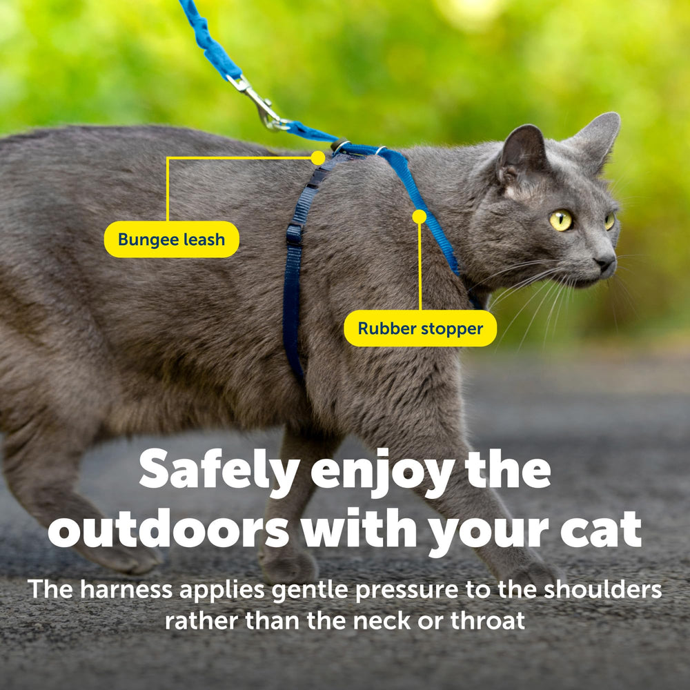 PetSafe Come With Me Kitty harness adjustment points shown in detail.