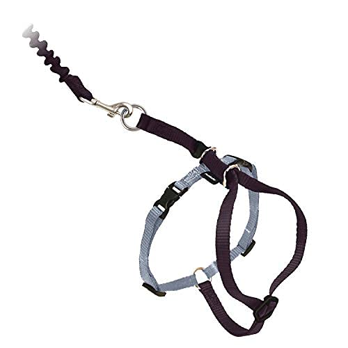 PetSafe Come With Me Kitty Harness and Bungee Cat Leash showing its adjustment points.