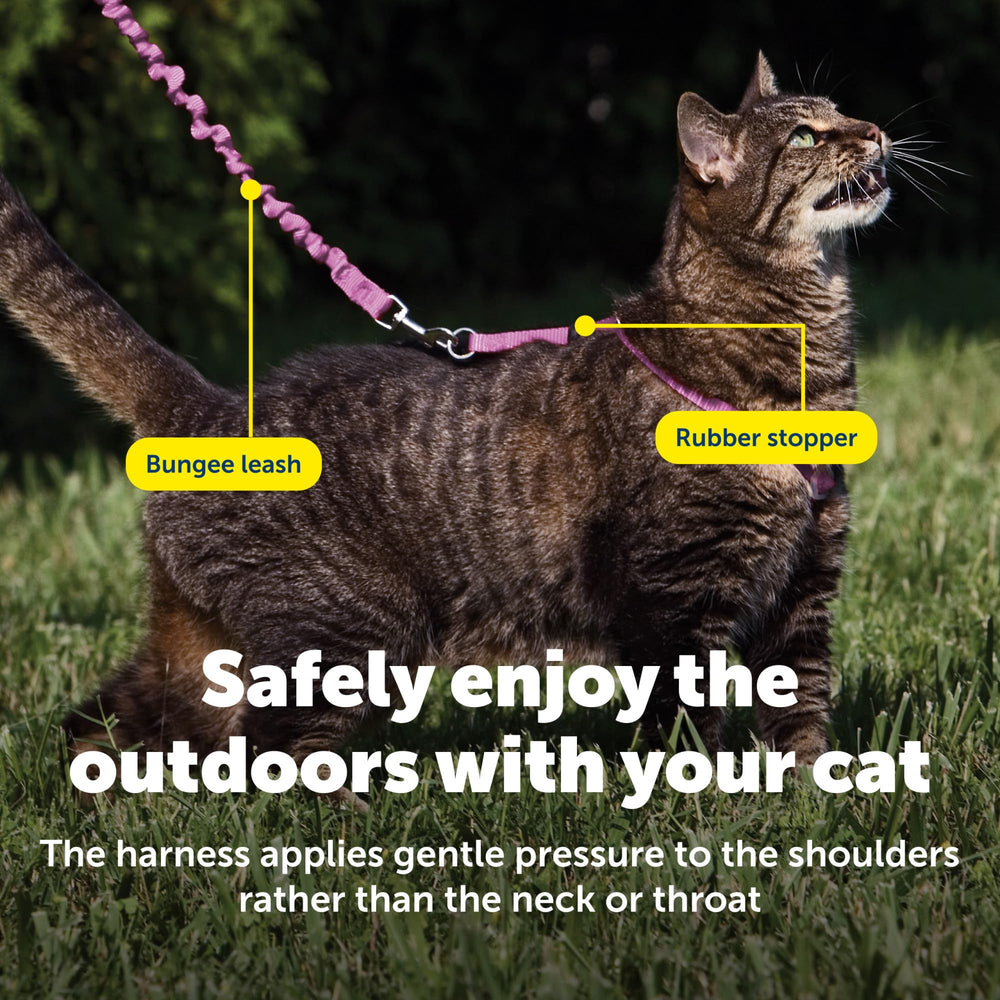 PetSafe Come With Me Kitty Harness showing its two adjustment points.
