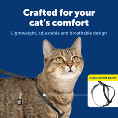 PetSafe Come With Me Kitty Harness showing its adjustable fit points.