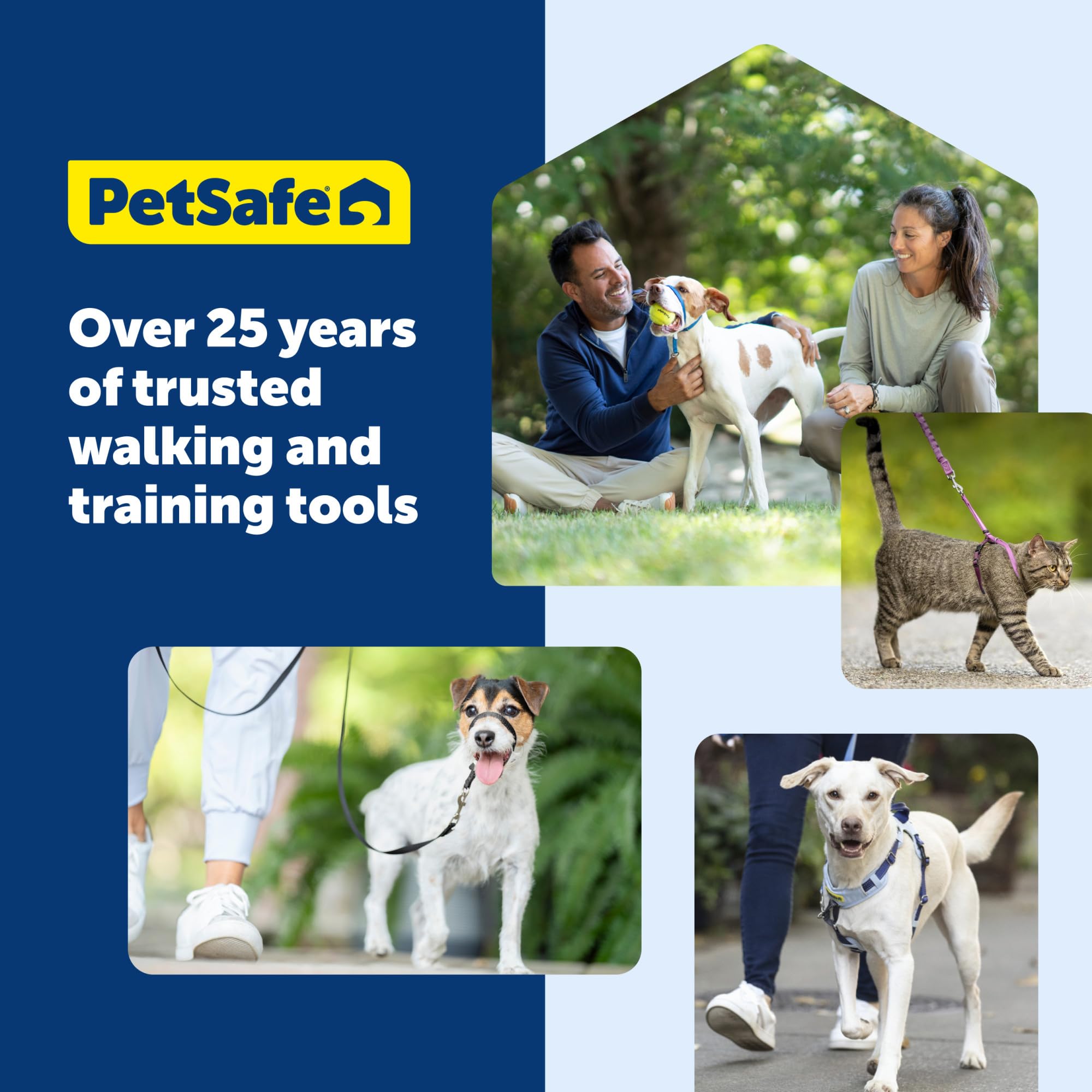 PetSafe Come With Me Kitty Harness and Bungee Cat Leash shown from the back.
