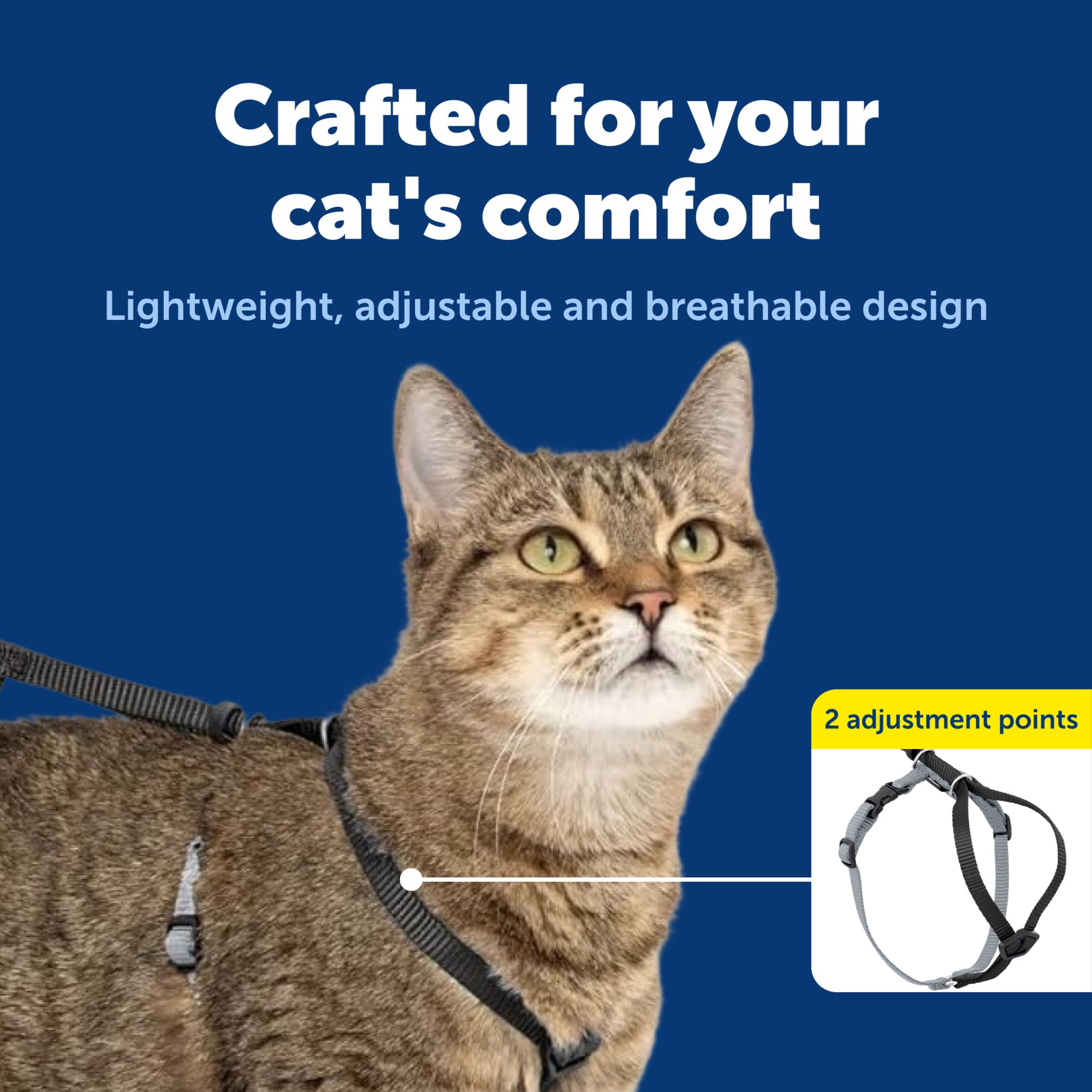PetSafe Come With Me Kitty Harness and Bungee Cat Leash shown from the side in black.