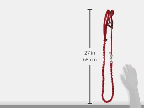 PetSafe Come With Me Kitty Harness and Bungee Leash shown from a side angle.