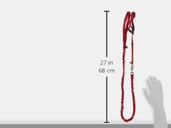 PetSafe Come With Me Kitty Harness and Bungee Leash shown from a side angle.
