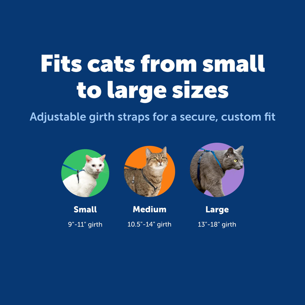 PetSafe Come With Me Kitty Harness shown fitted on a cat.