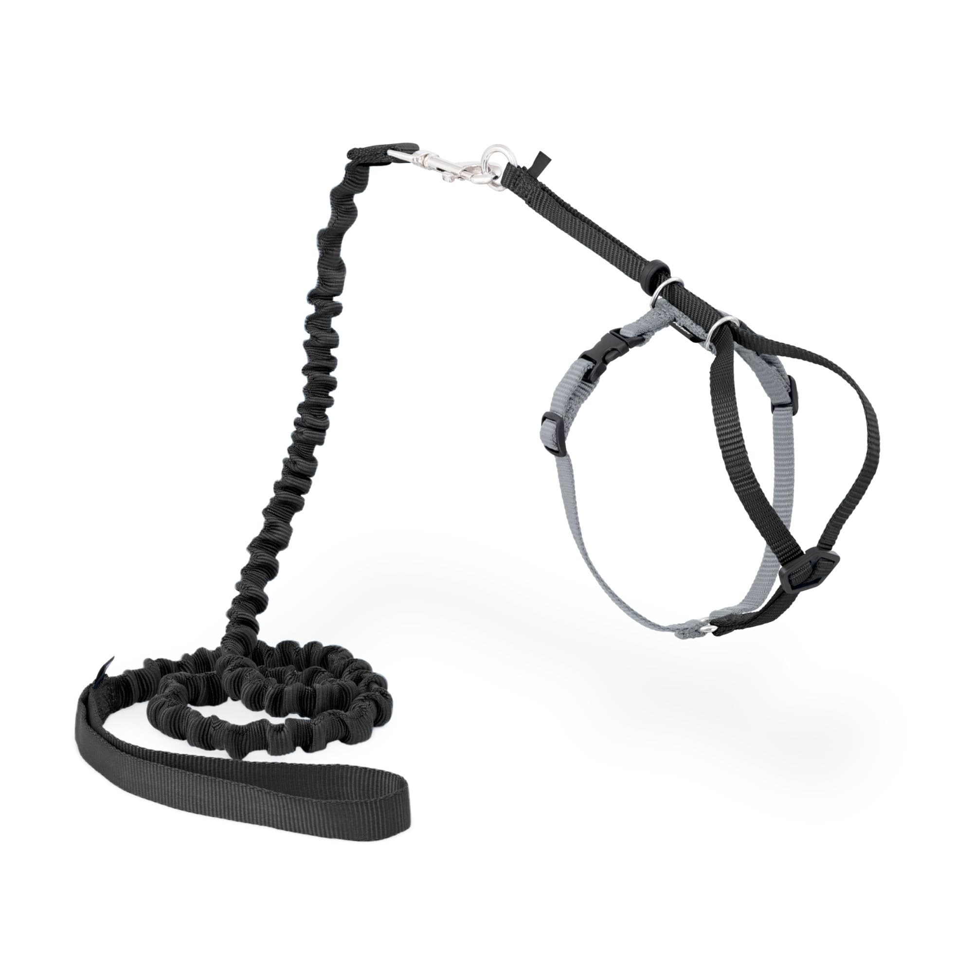 PetSafe Come With Me Kitty Harness and Bungee Cat Leash shown from the front.