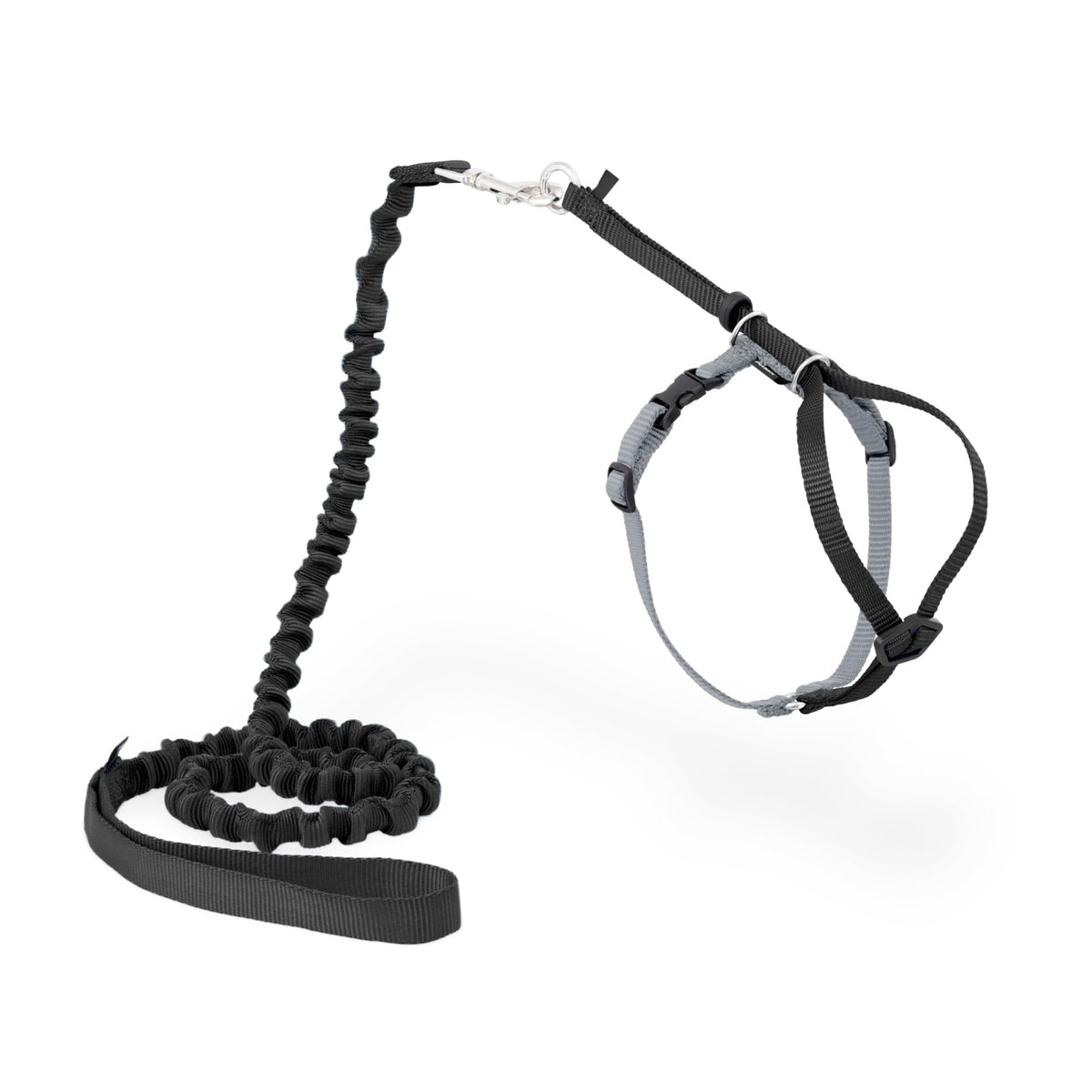 PetSafe Come With Me Kitty Harness and Bungee Cat Leash shown from the front.