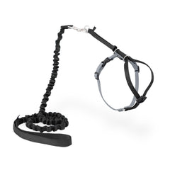 PetSafe Come With Me Kitty Harness and Bungee Cat Leash shown from the front.