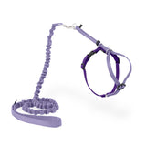 PetSafe Come With Me Kitty Harness and Bungee Cat Leash shown from the front.