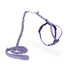 PetSafe Come With Me Kitty Harness and Bungee Cat Leash shown from the front.