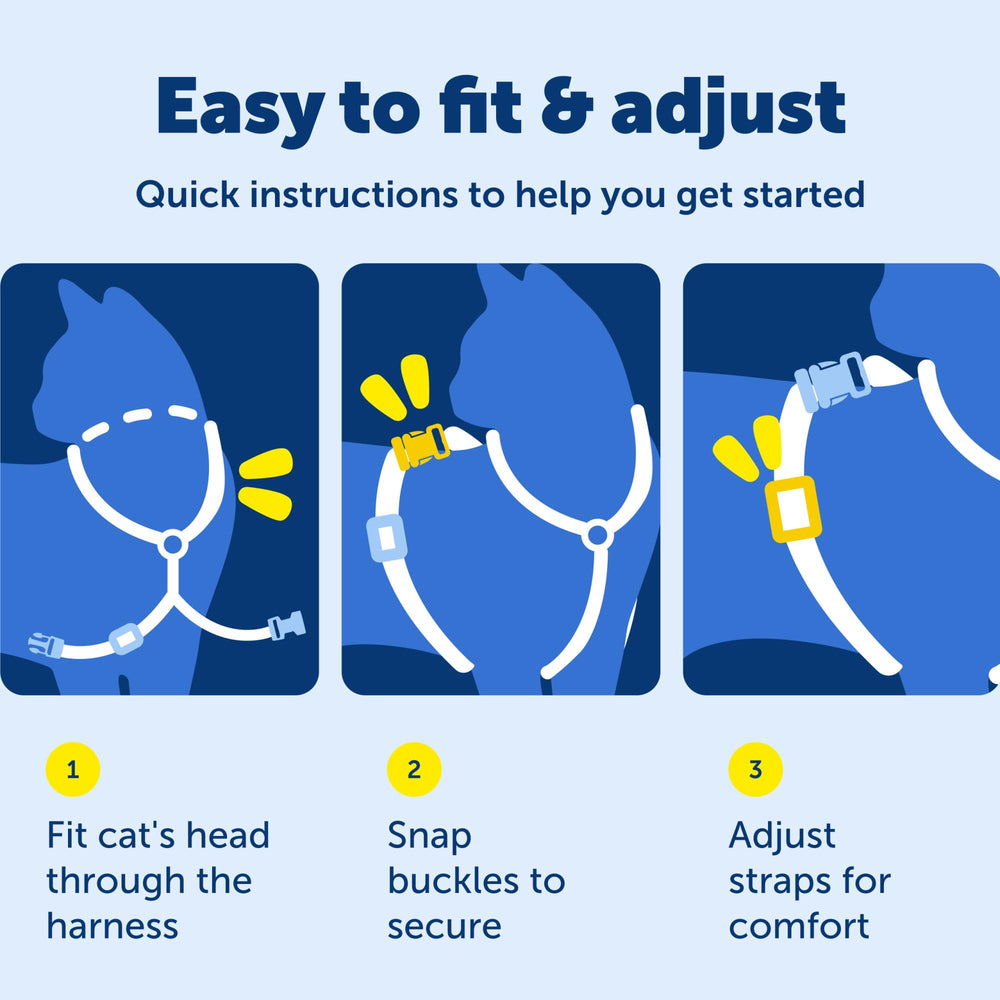 PetSafe Come With Me Kitty harness and leash shown during an outdoor walk.