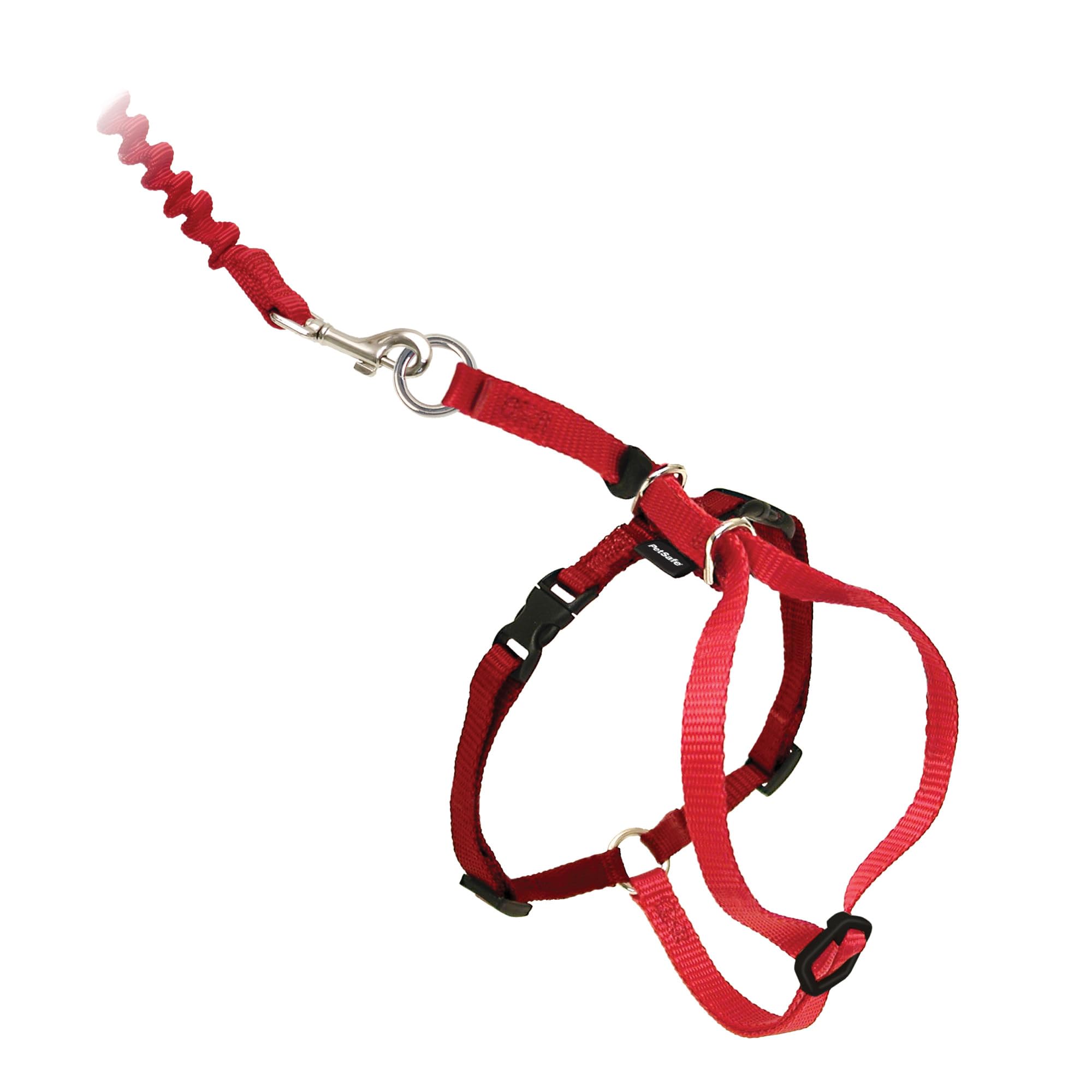 PetSafe Come With Me Kitty Harness and Bungee Leash shown together from the front.