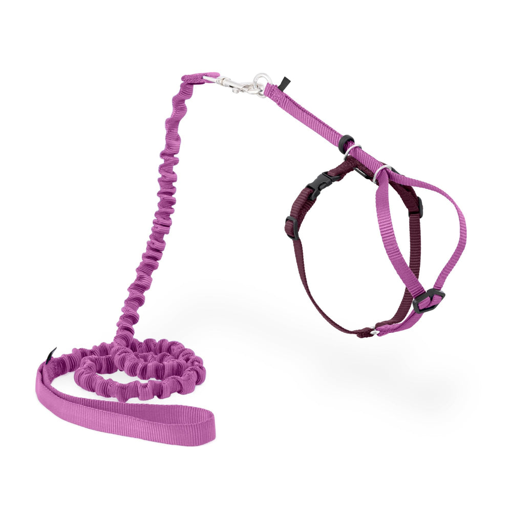 PetSafe Come With Me Kitty Harness and Bungee Leash shown together in dusty rose.