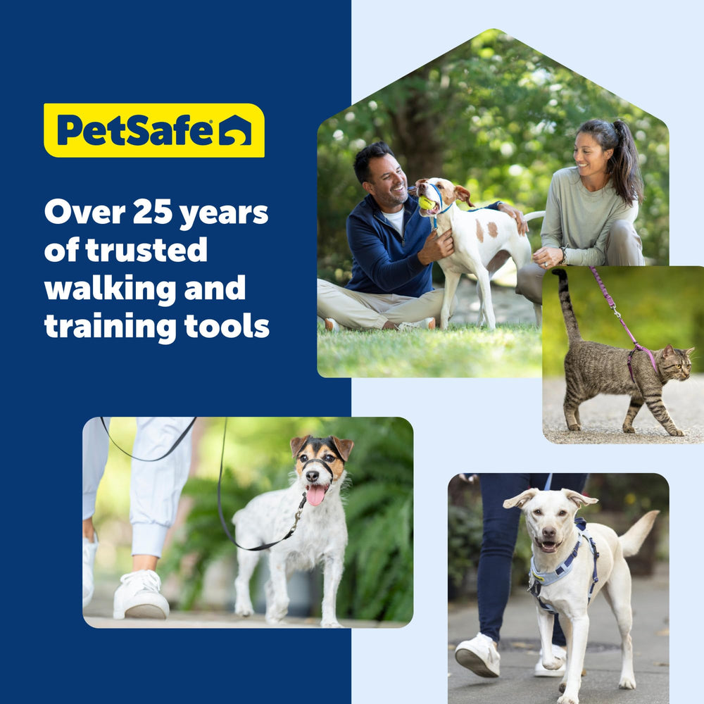 PetSafe Come With Me Kitty Harness shown fitted on a cat.