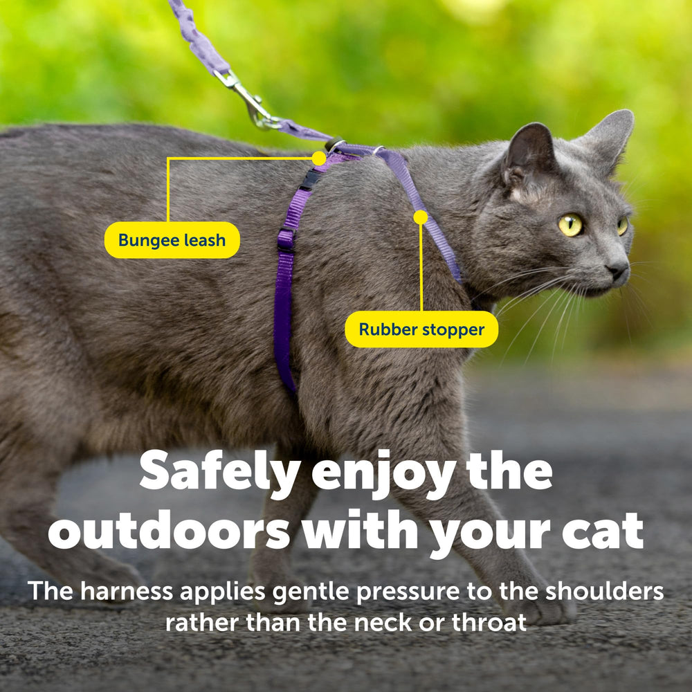 PetSafe Come With Me Kitty Harness and Bungee Cat Leash shown in lilac.