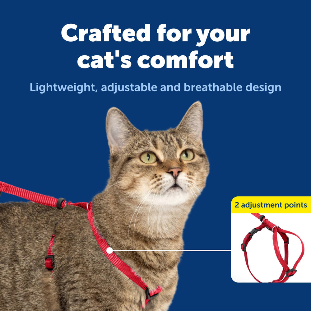 PetSafe Come With Me Kitty Harness shown from a front angle in red.