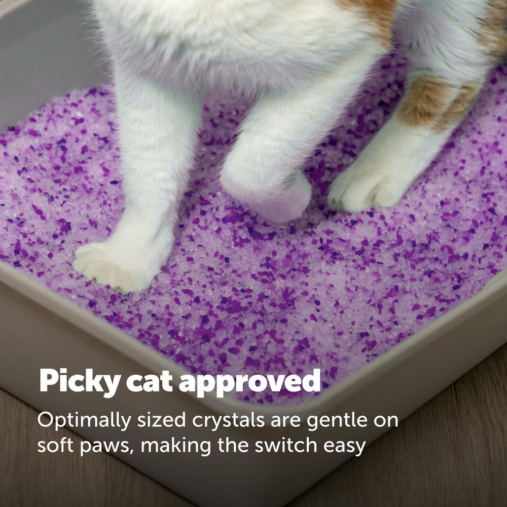 Side profile of the PetSafe ScoopFree Crystal Cat Litter bag.