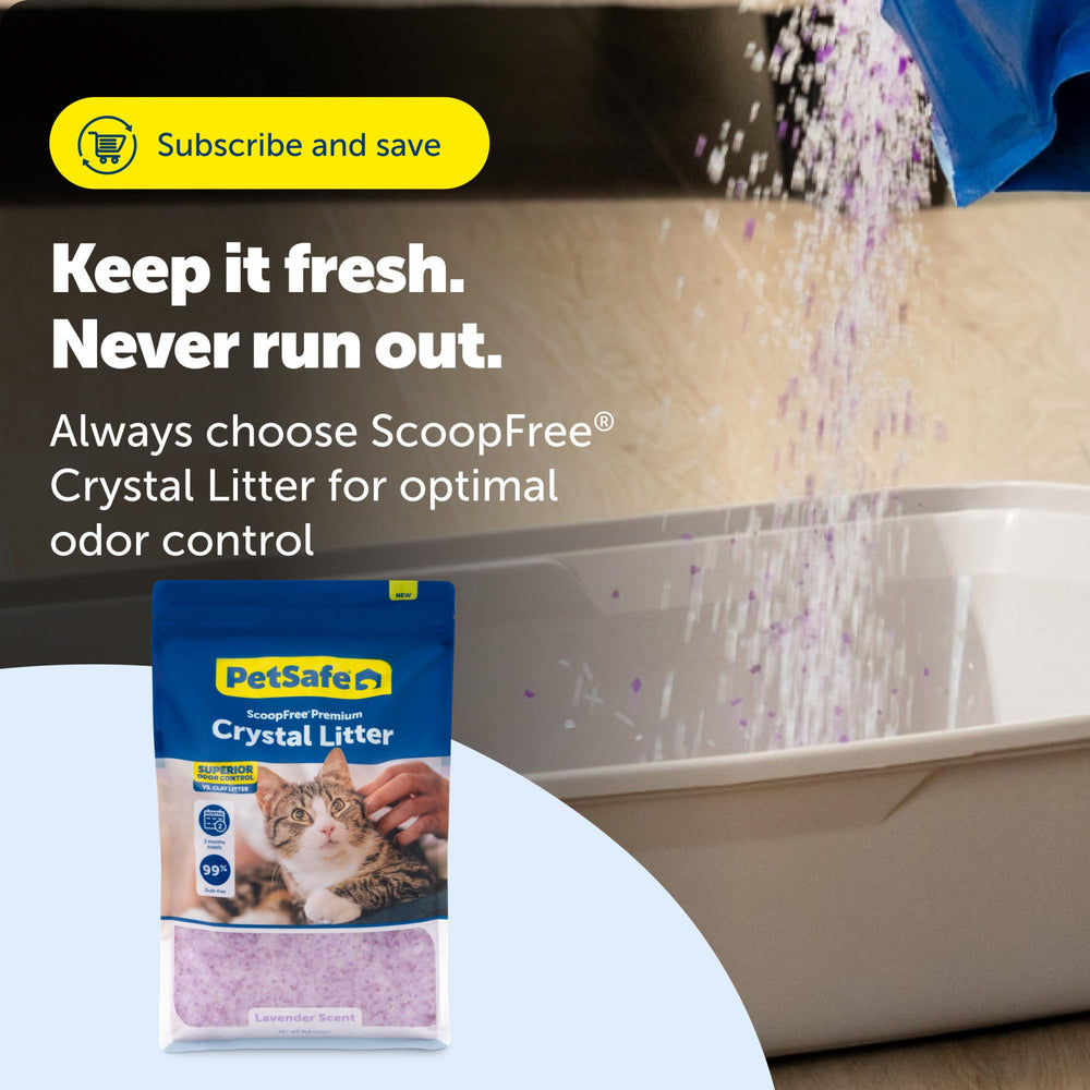 PetSafe ScoopFree Crystal Cat Litter crystals spread across a litter-box surface.