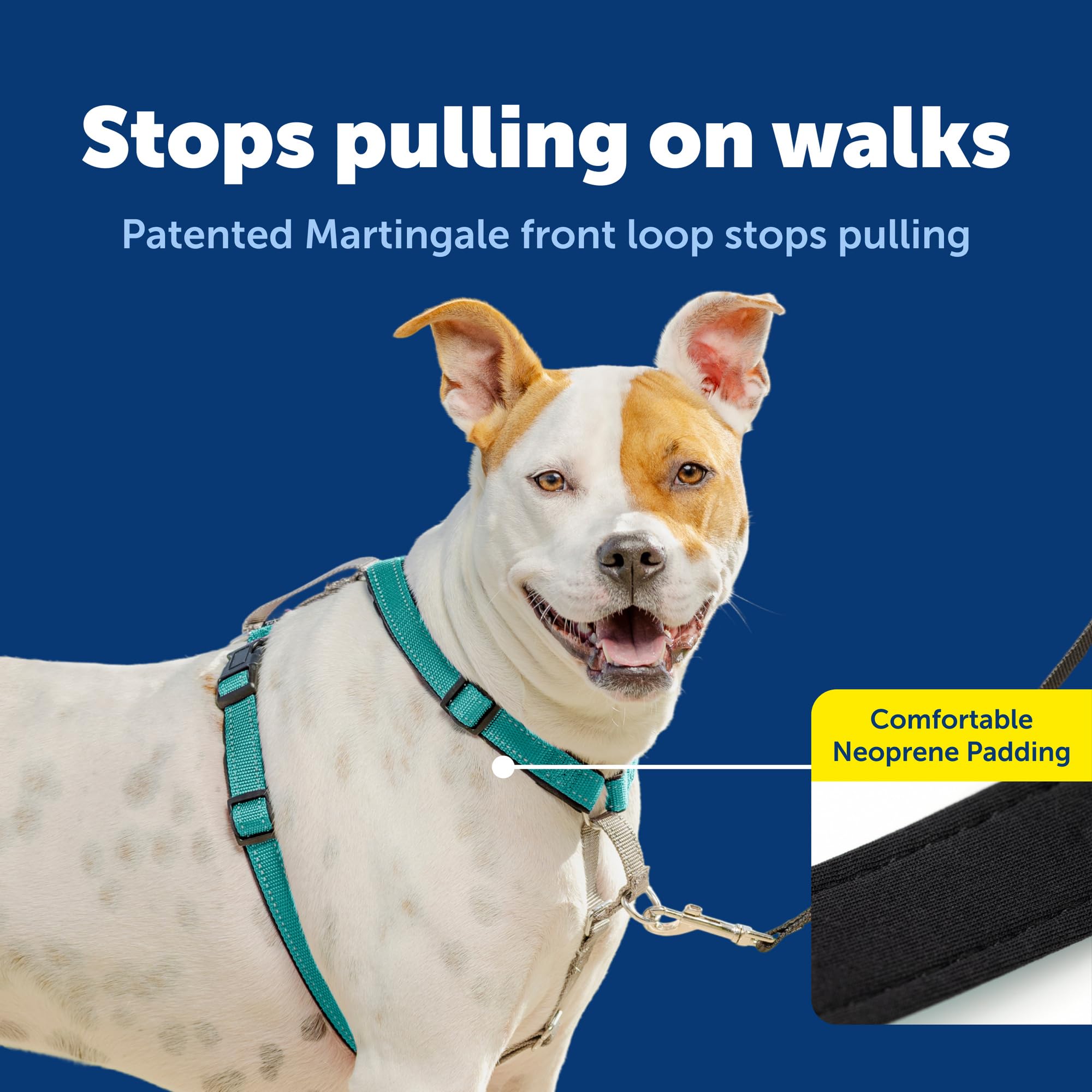 PetSafe 3 in 1 No-Pull Dog Harness back leash attachment for walking or jogging.