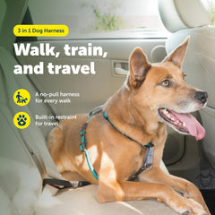 PetSafe 3 in 1 No-Pull Dog Harness front attachment for chest-leash control.