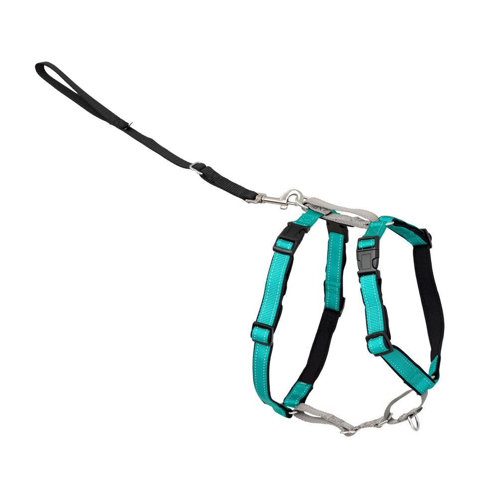 PetSafe 3 in 1 No-Pull Dog Harness shown from the front in teal.