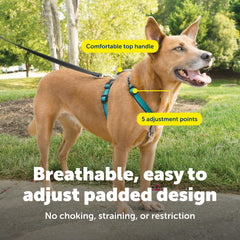 PetSafe 3 in 1 No-Pull Dog Harness gray seat belt loop for car travel.