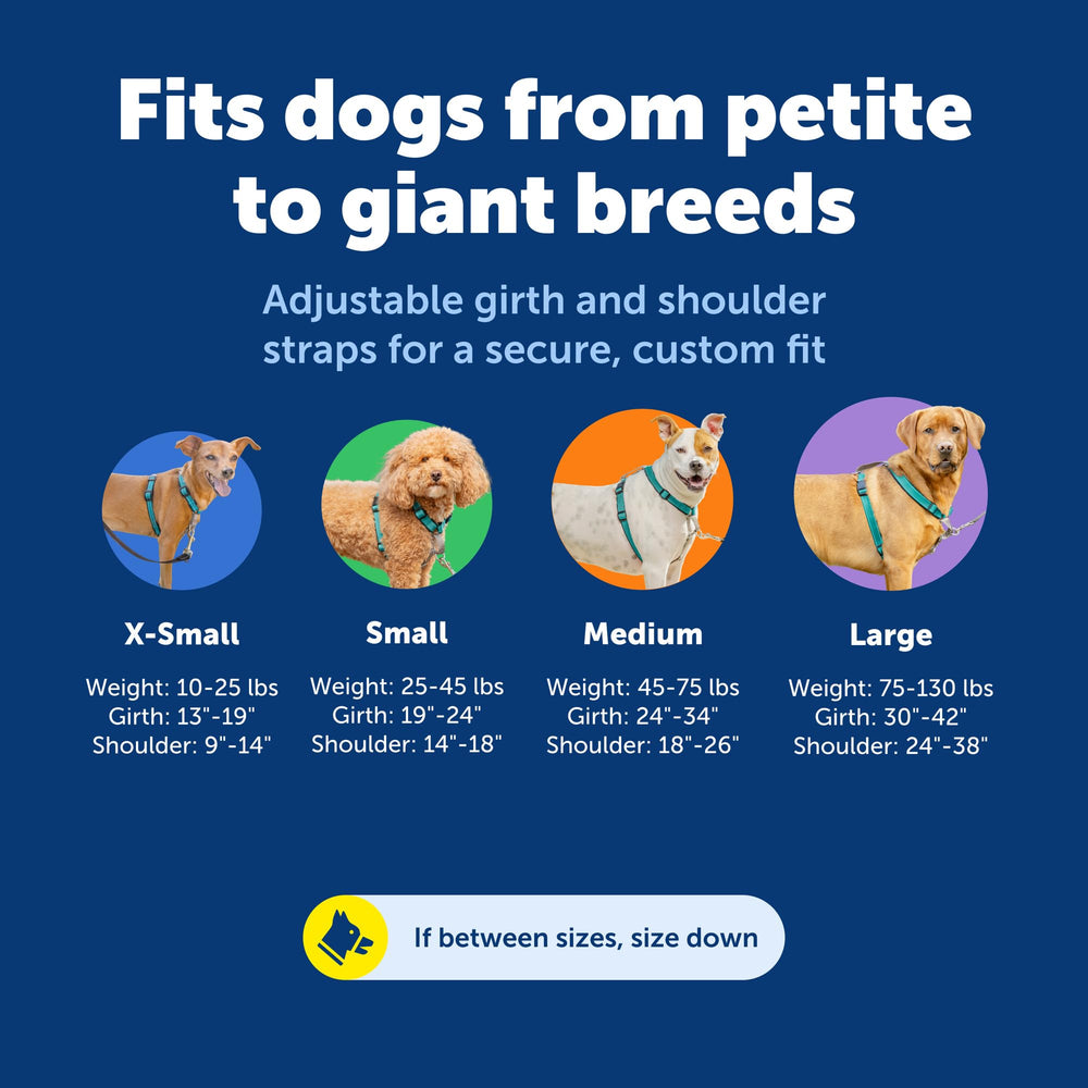 PetSafe 3 in 1 No-Pull Dog Harness with its quick-access top handle.