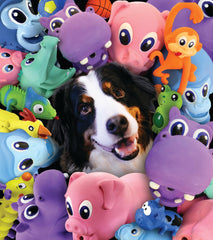 PetSport Naturflex Large Alligator being used for interactive dog play.