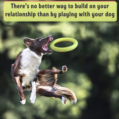PetSpy Dog Ring Toy floating during water play.