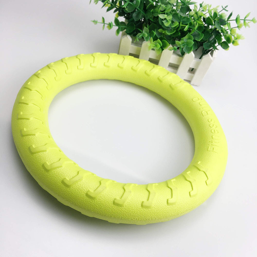 PetSpy Dog Ring Toy carried along for a walk.