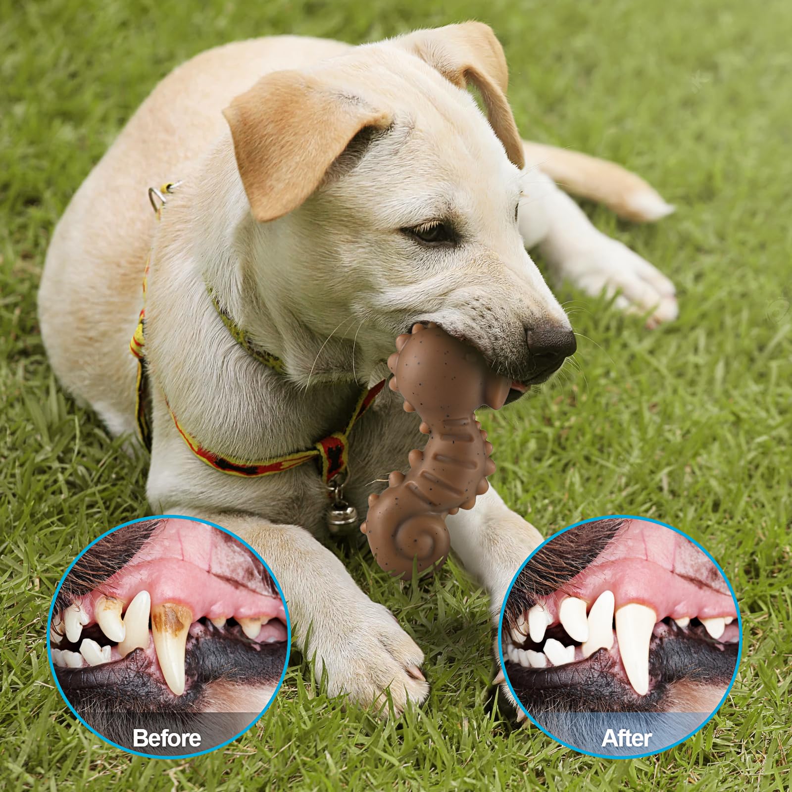 PETSTA dog chew toys made from food-grade nylon, shown in close detail.
