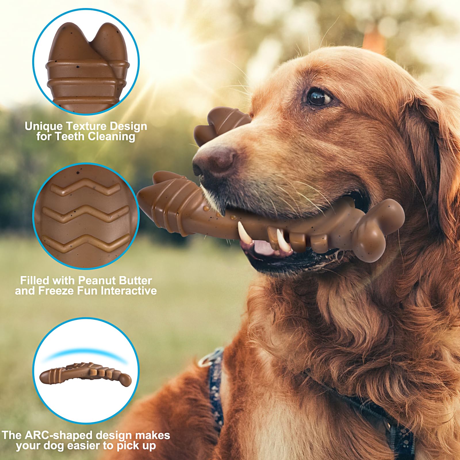 PETSTA dog chew toy in the scallop shape from the four-piece set.