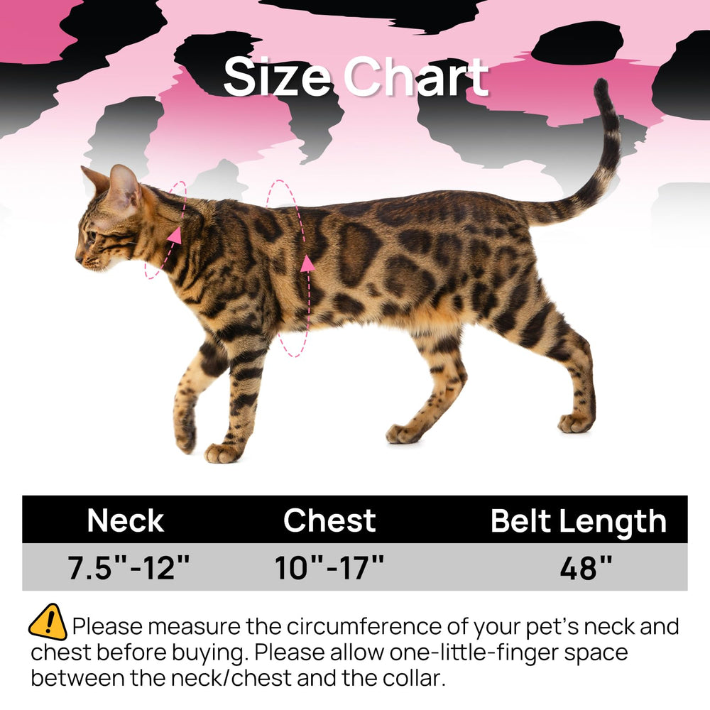 PetThem cat harness adjustment strap and quick-release buckle close-up.