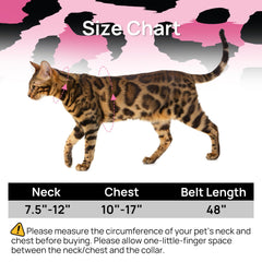 PetThem cat harness adjustment strap and quick-release buckle close-up.