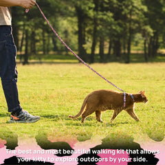 PetThem cat harness leash connection shown at the D-rings.